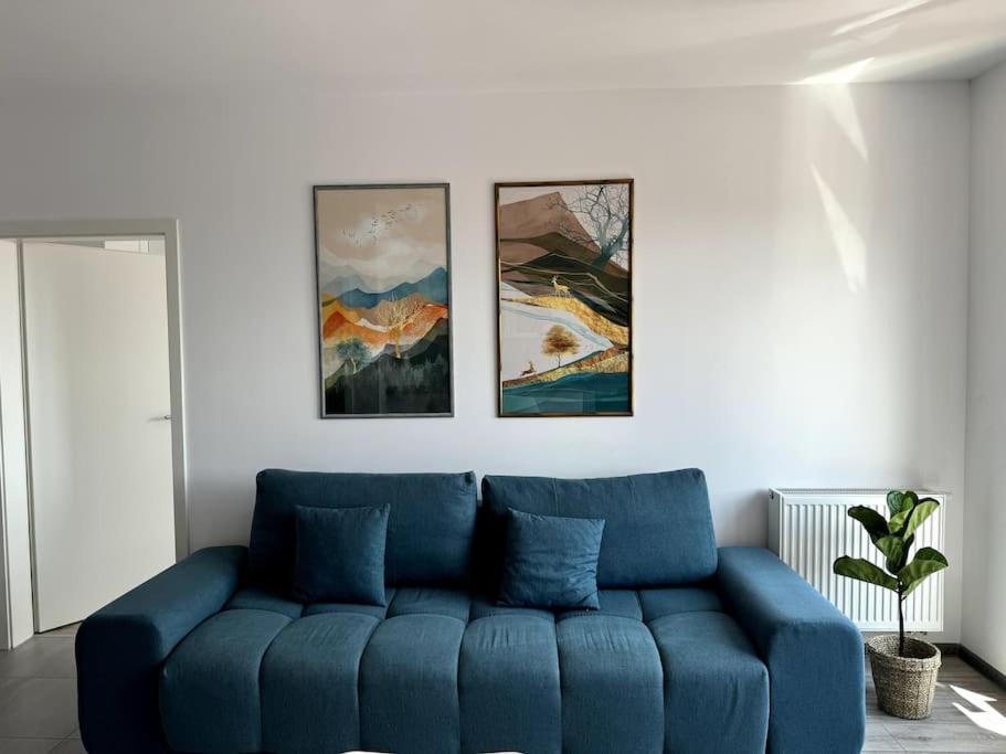 Seville Studio Cu Terasa & Vedere La Munte Brasov Luaran gambar